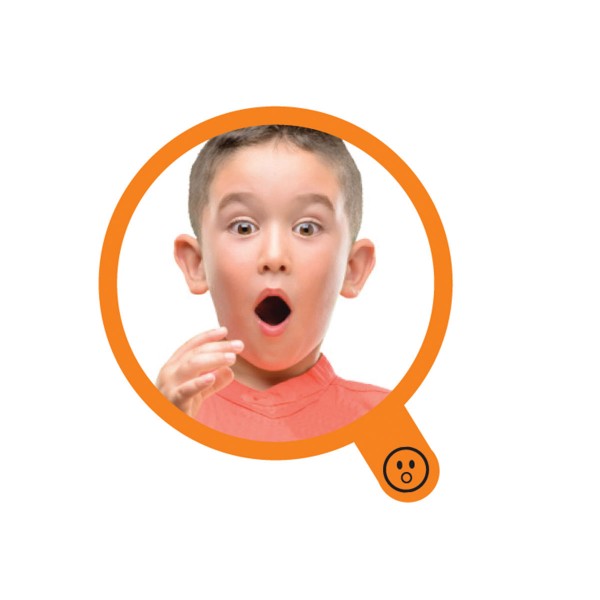 Игровой набор с зеркалом Learning Resources серии "Социально-эмоциональное обучение" - Мои эмоции 91294