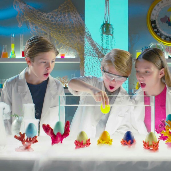 Растущая игрушка в яйце «Ocean Eggs» - Повелители океанов и морей T001-2019
