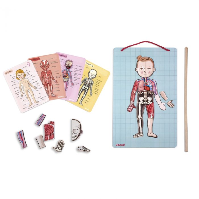 Игровой магнитный набор Janod Тело человека J05491